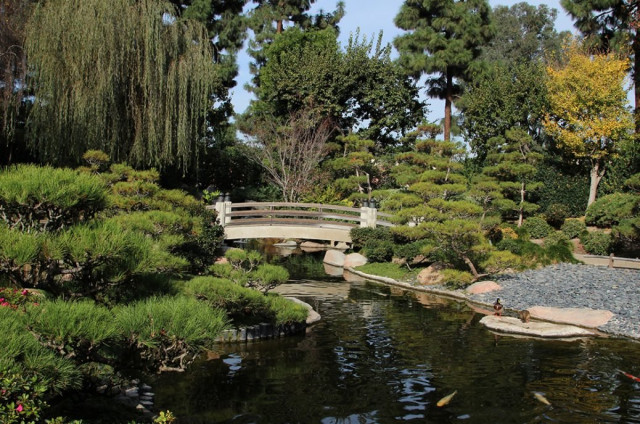 Earl Burns Miller Japanese Gardens